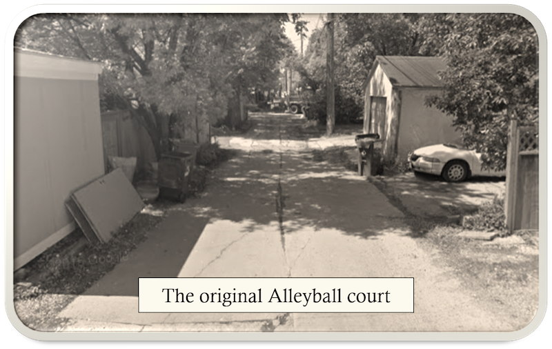 The Original Alleyball Court